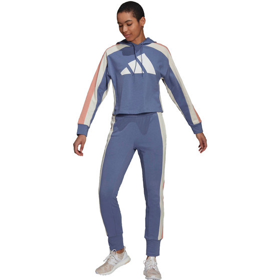 adidas Big Logo Trainingspak Women