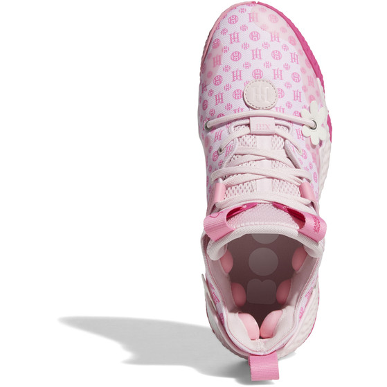 adidas Harden Vol. 6
