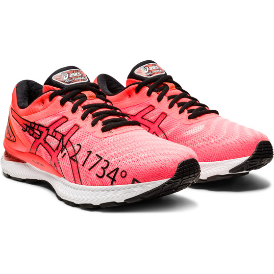 ASICS GEL-Nimbus 22 Men