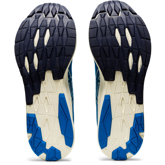 ASICS EvoRide Men