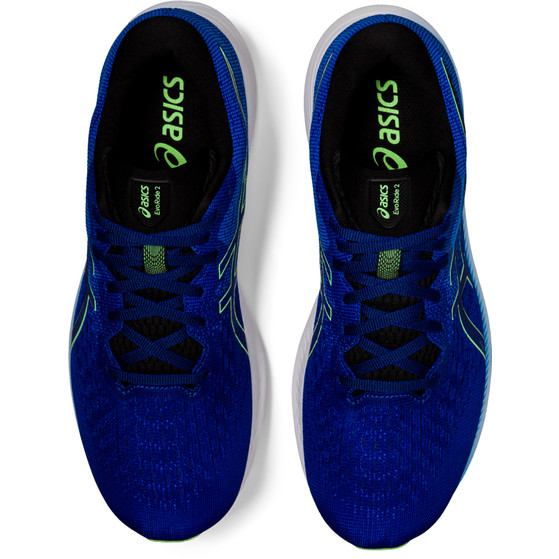 ASICS Evoride 2 Men