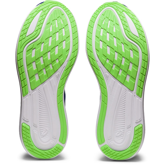 ASICS Evoride 2 Men