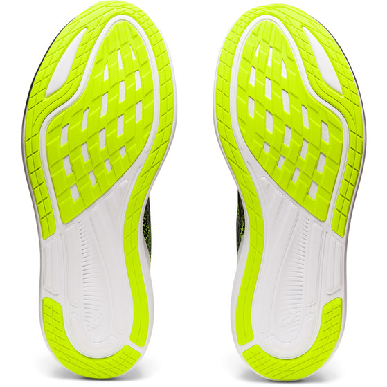 ASICS EvoRide 3 Men