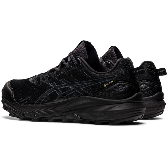 ASICS GEL-Trabuco 10 GTX Men