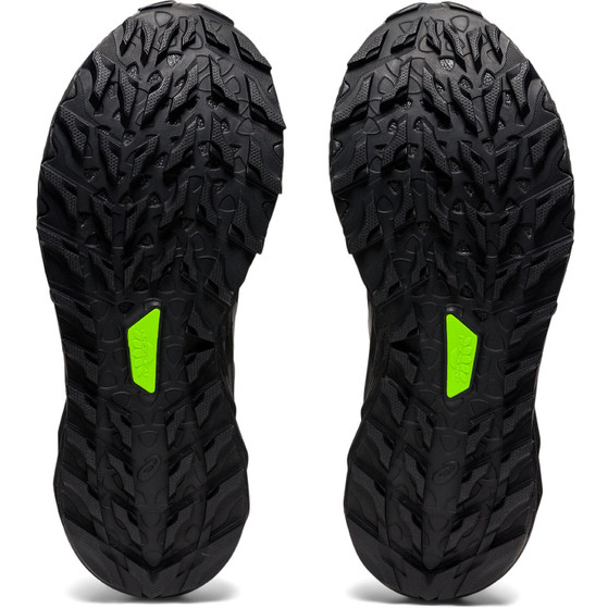 ASICS GEL-Trabuco 10 GTX Damen