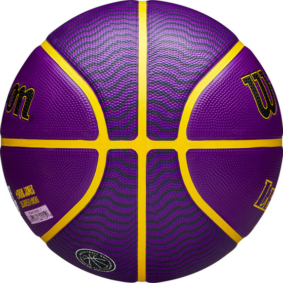 Wilson NBA Player Icon Outdoor