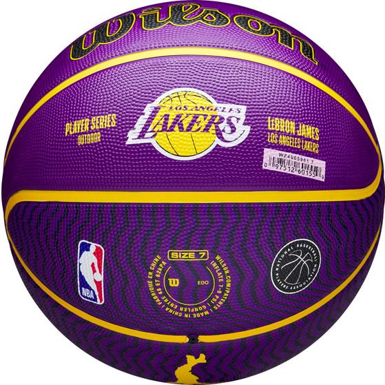 Wilson NBA Player Icon Outdoor