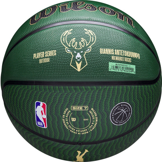 Wilson NBA Player Icon Outdoor