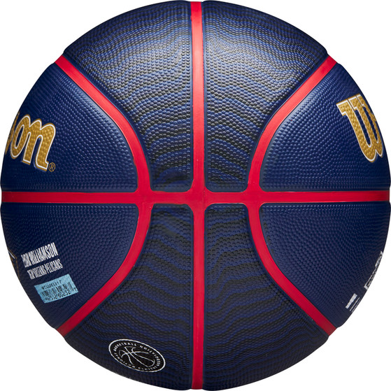 Wilson NBA Player Icon Outdoor
