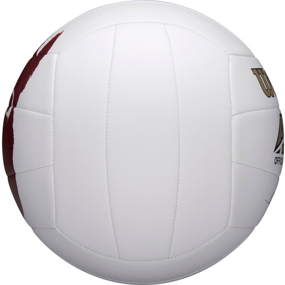 Wilson Castaway