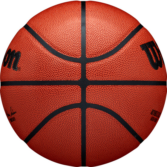 Wilson NBA Authentic In/Outdoor