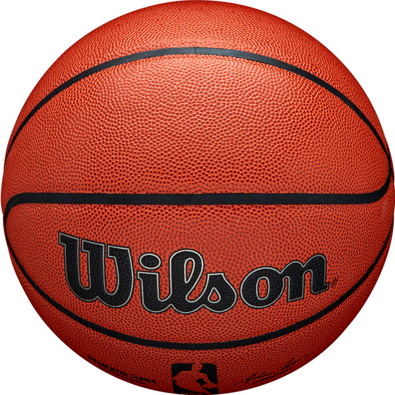 Wilson NBA Authentic In/Outdoor