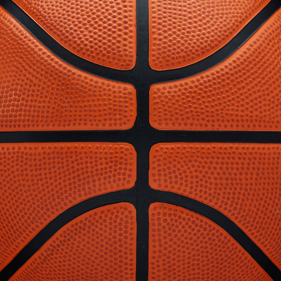 Wilson NBA DRV Pro