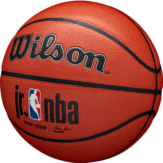 Wilson Jr. NBA Authentic In/Outdoor