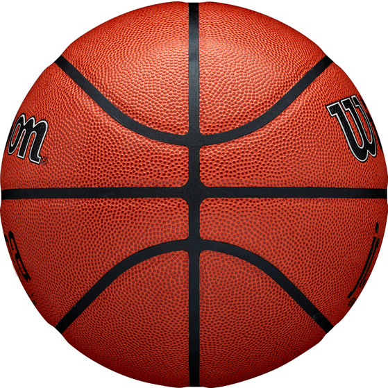 Wilson Jr. NBA Authentic In/Outdoor