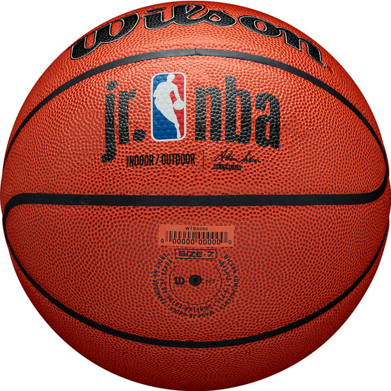 Wilson Jr. NBA Authentic In/Outdoor