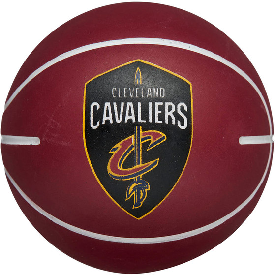 Wilson NBA Team Dribbler Stuiterbal