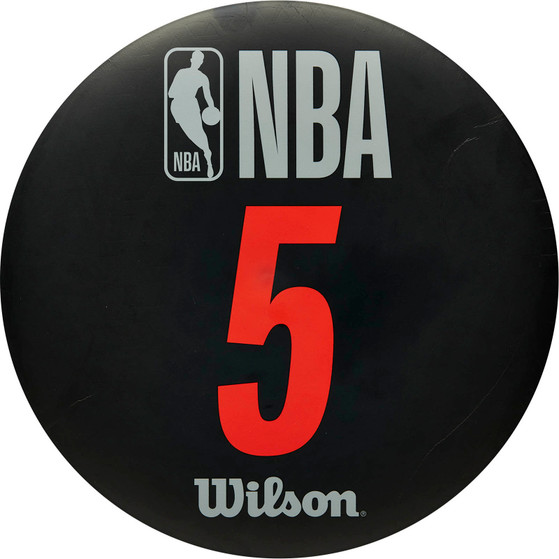 Wilson NBA DRV Training Markers