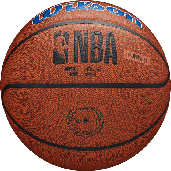 Wilson NBA Team Alliance Detroit Pistons