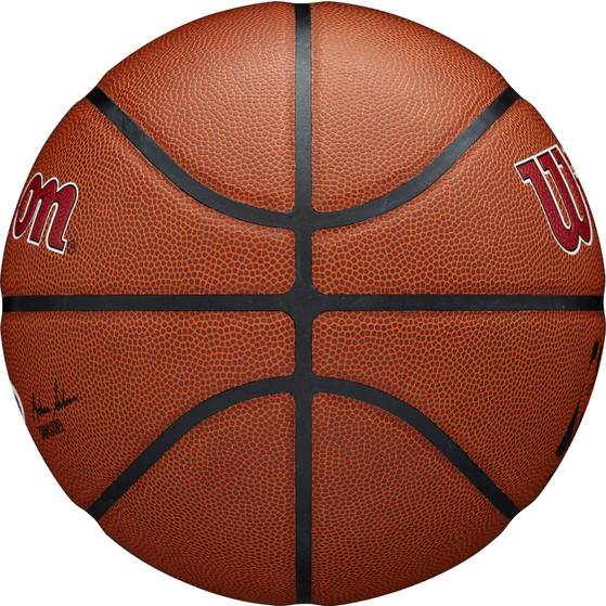 Wilson NBA Team Alliance Miami Heat