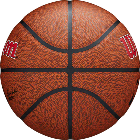Wilson NBA Team Alliance Toronto Raptors