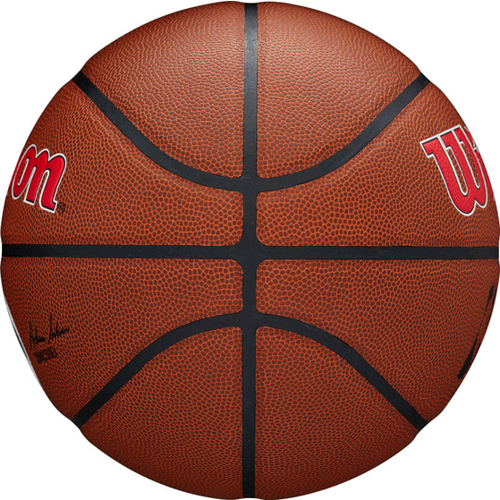 Wilson NBA Team Alliance Wizards