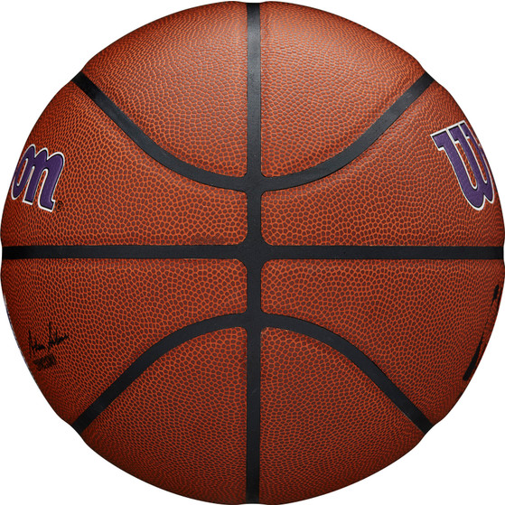 Wilson NBA Team Alliance Kings