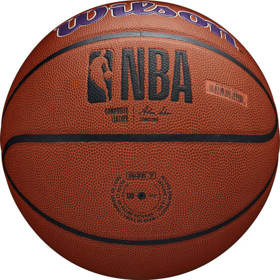 Wilson NBA Team Alliance Kings