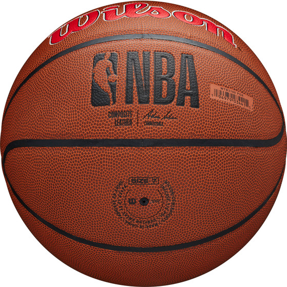 Wilson NBA Team Alliance Trail Blazers