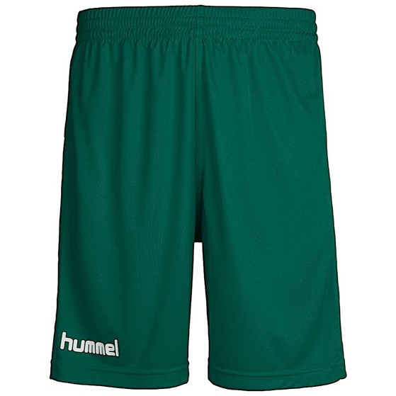 Hummel Core Poly Shorts Heren | GR