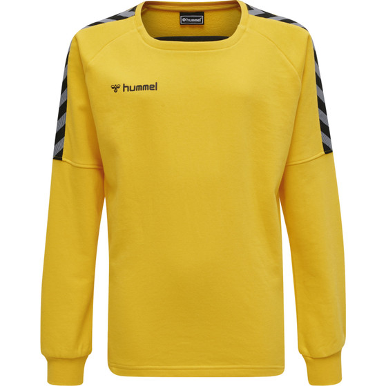 Hummel Authentic Training Sweater Kids