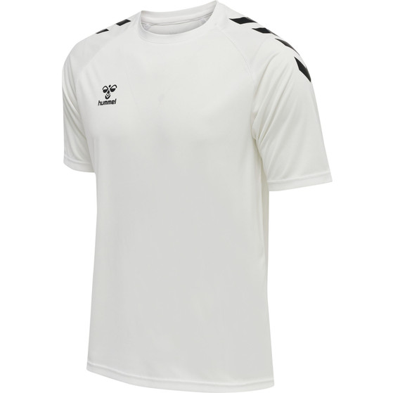 Hummel Core XK Core Poly Tröja Herr