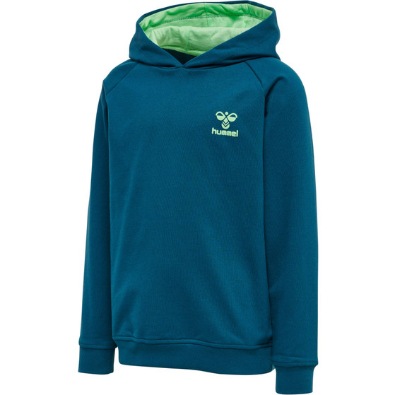 Hummel Action Cotton Hoodie Junior