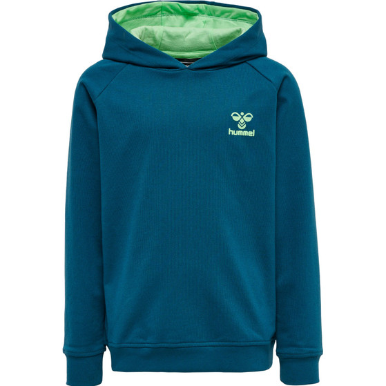 Hummel Action Cotton Hoodie Junior