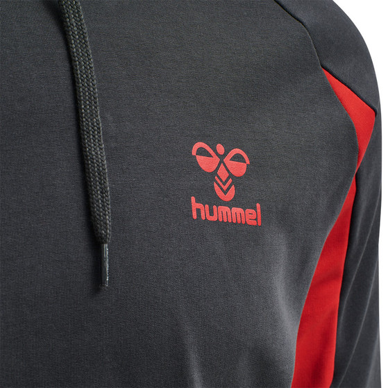 Hummel Action Cotton Hoodie Men
