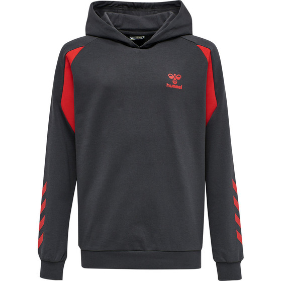Hummel Action Cotton Hoodie Kids