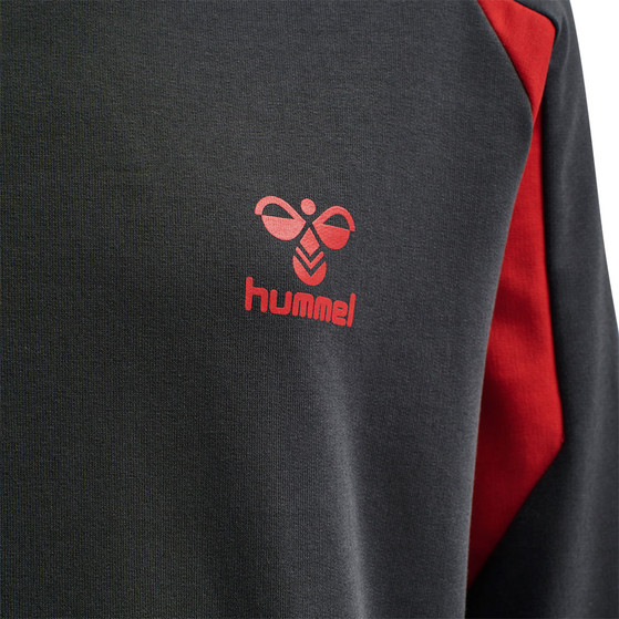 Hummel Action Cotton Hoodie Kids