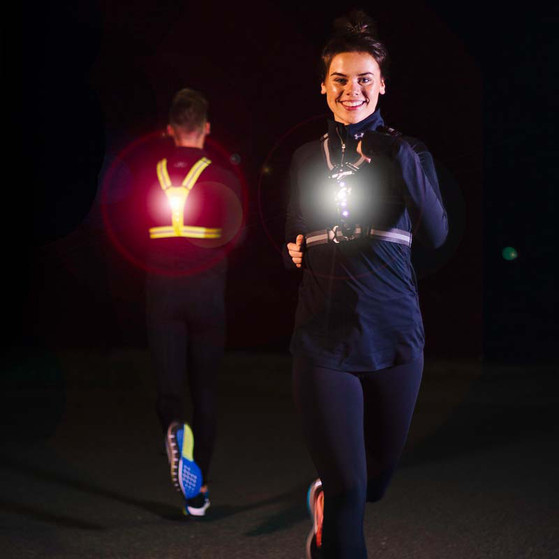 Bee Seen Led Harnas Batterij