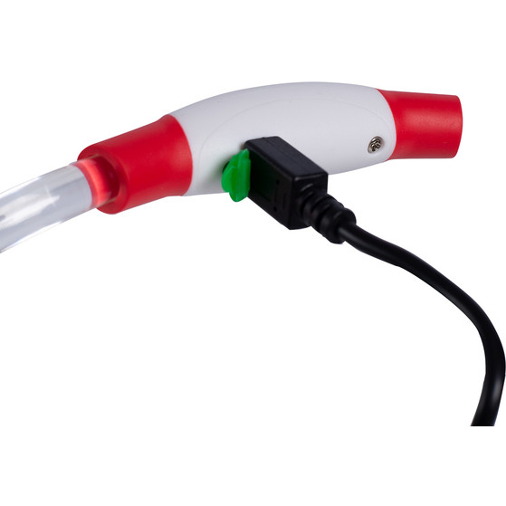 Bee Seen Hundeband USB