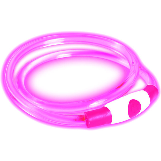 Bee Seen Hundeband USB