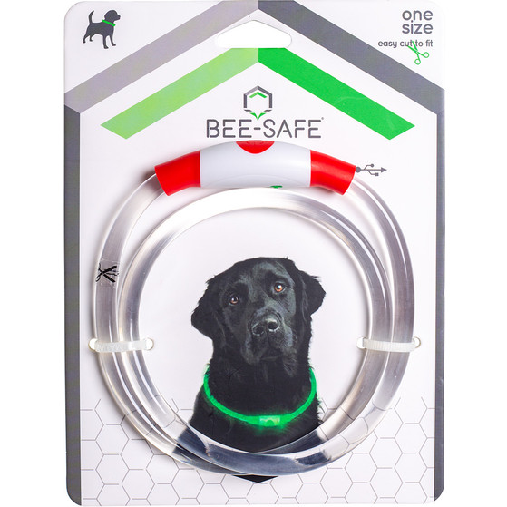 Bee Seen Hundeband USB