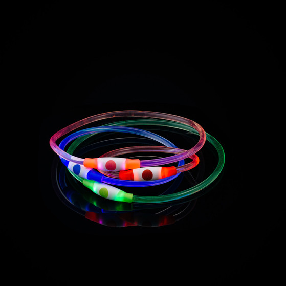 Bee Seen Hundeband USB