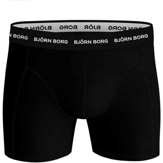 Björn Borg Ess Boxer 10p Men