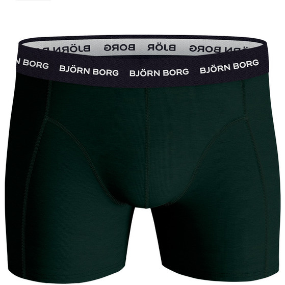 Björn Borg Ess Boxer 10p Men