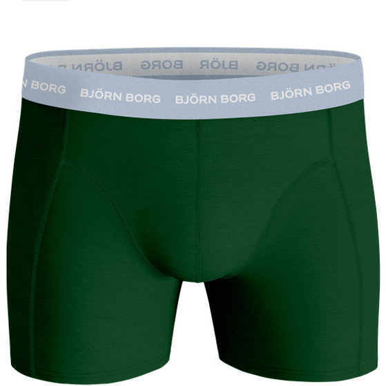 Björn Borg Ess Boxer 10p Men