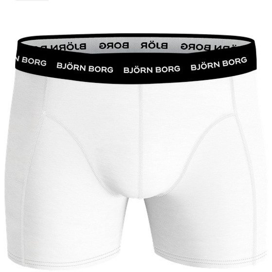 Björn Borg Ess Boxer 10p Men