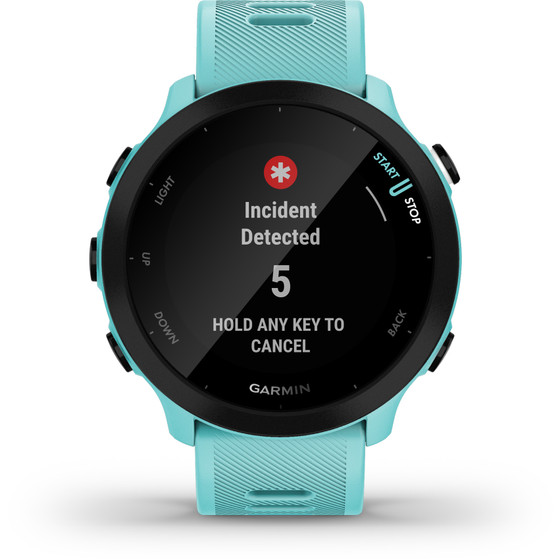 Garmin Forerunner 55