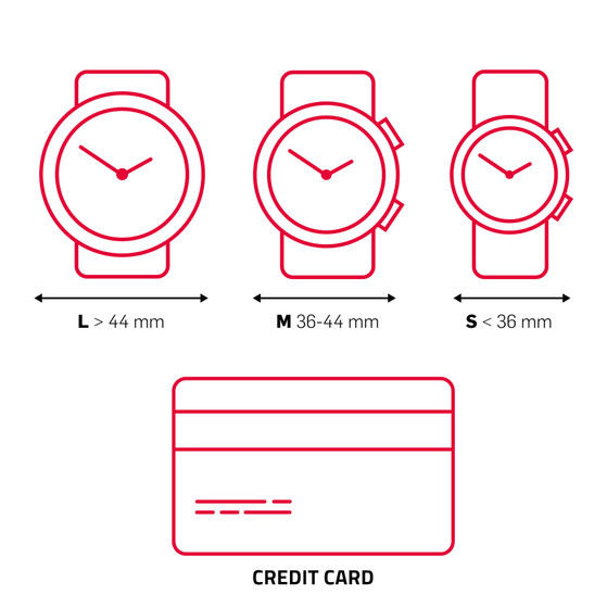 Garmin Forerunner 255S
