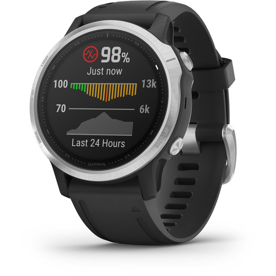Garmin Fenix 6S Silver