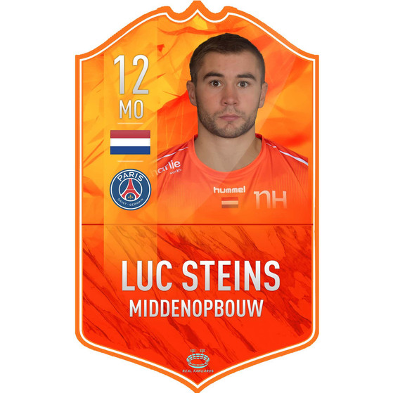 Fancard Luc Steins No. 12